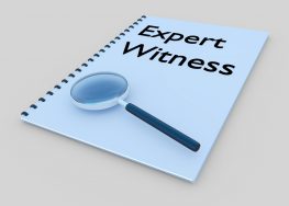 expert witnesses